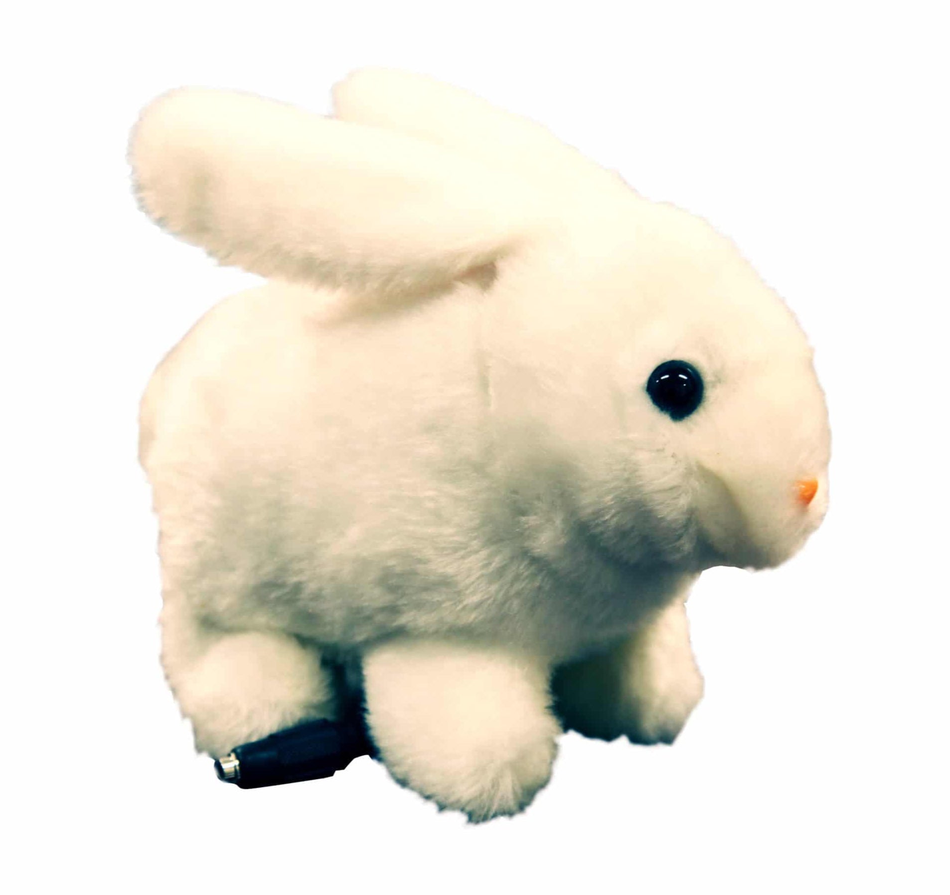 Enabling Floppy Bunny Special Needs Computers