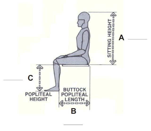 Zero Gravity Workstation 11 ErgoQuest