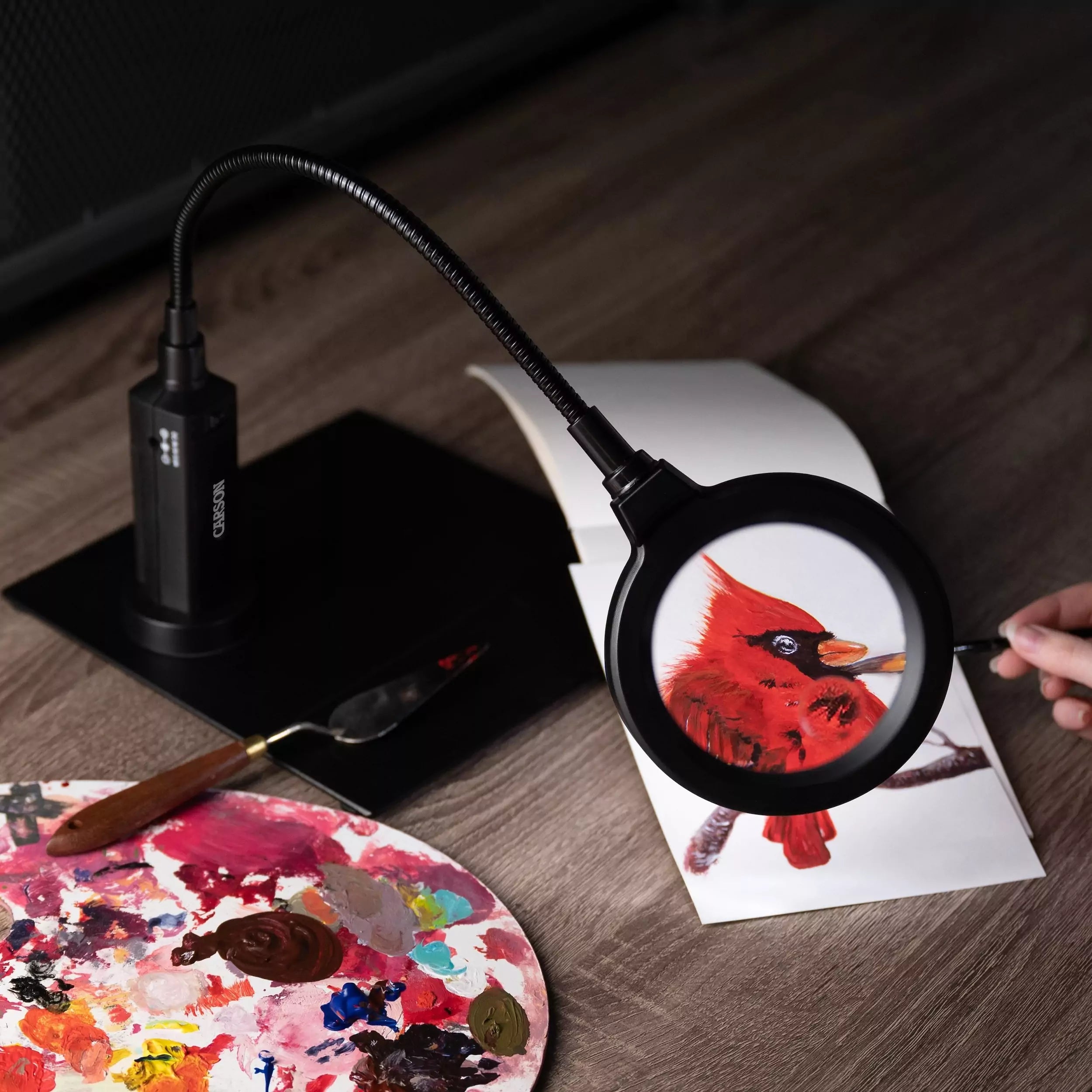 Carson MagniFlex Pro 2x - 2