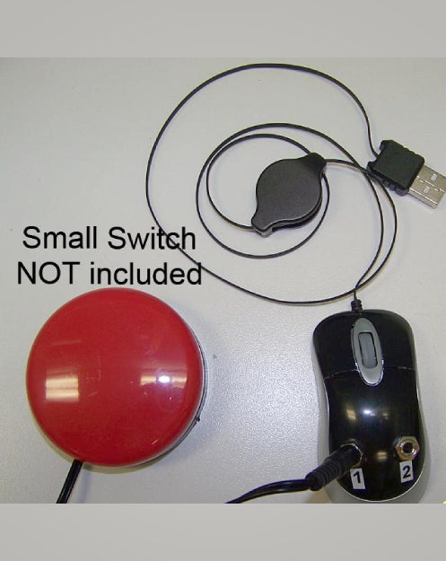 Mini-SwitchPort Switch Adapted Mouse