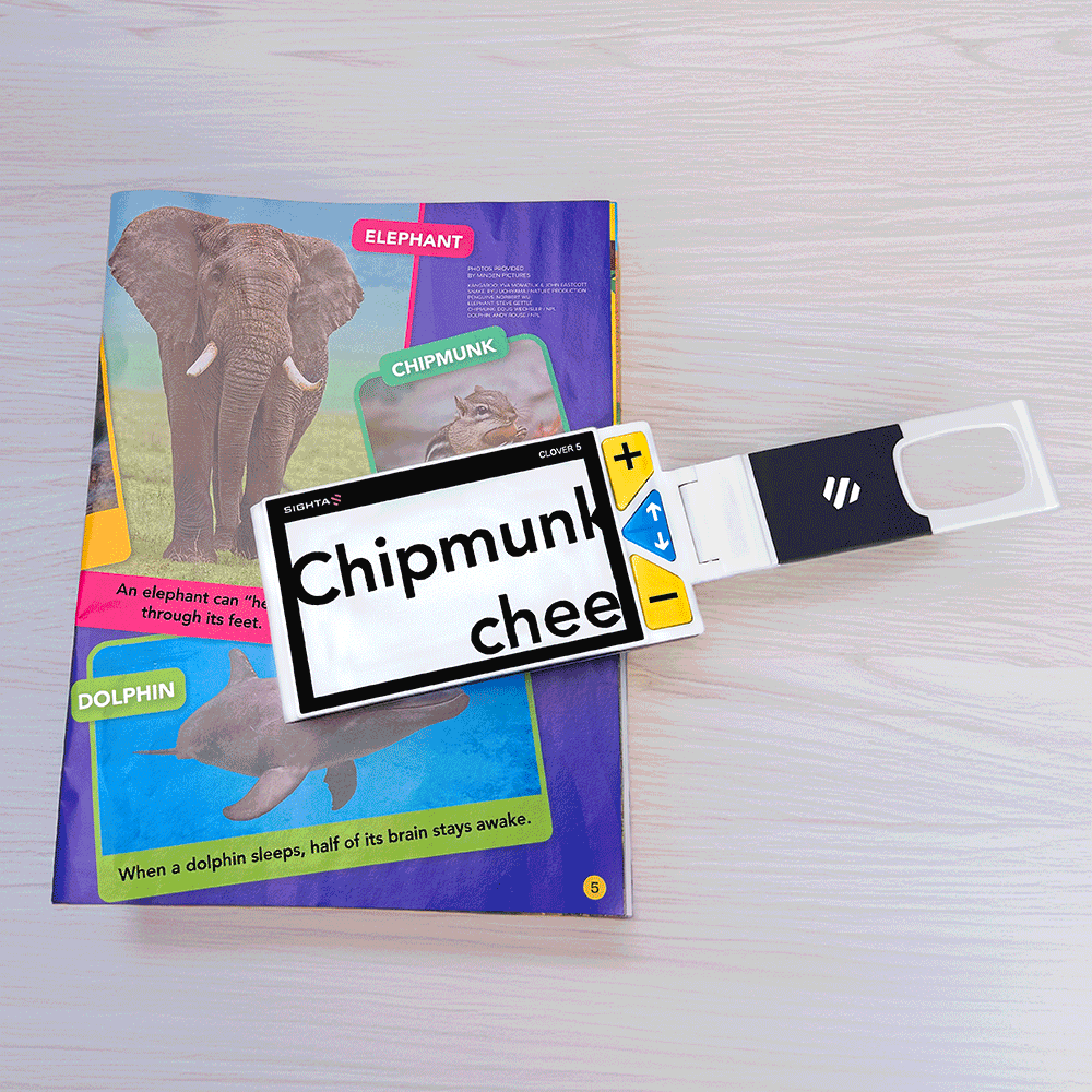 A handheld magnetic picture card reader and storyteller toy labeled 'Chipmunk chee' is shown resting on top of a colorful children's picture book on a light wood surface. Clover 5 Special Needs Computers.