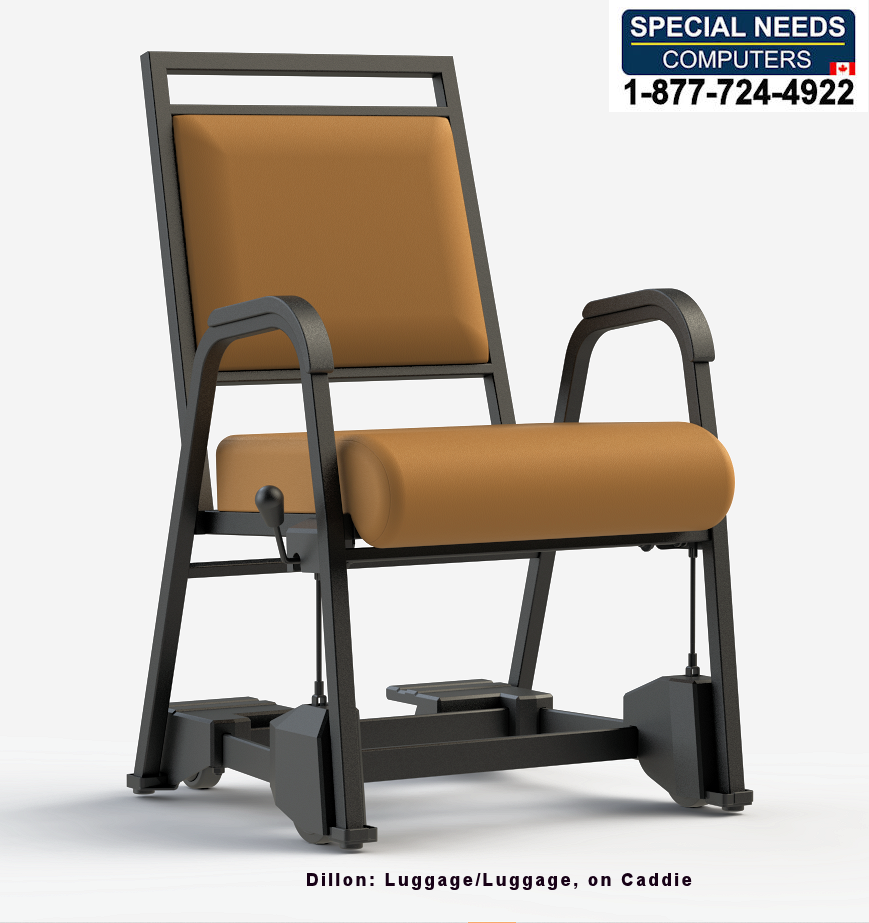 Nursing Home Armed Dining Chair T2-841-22-CC2 ComforTek