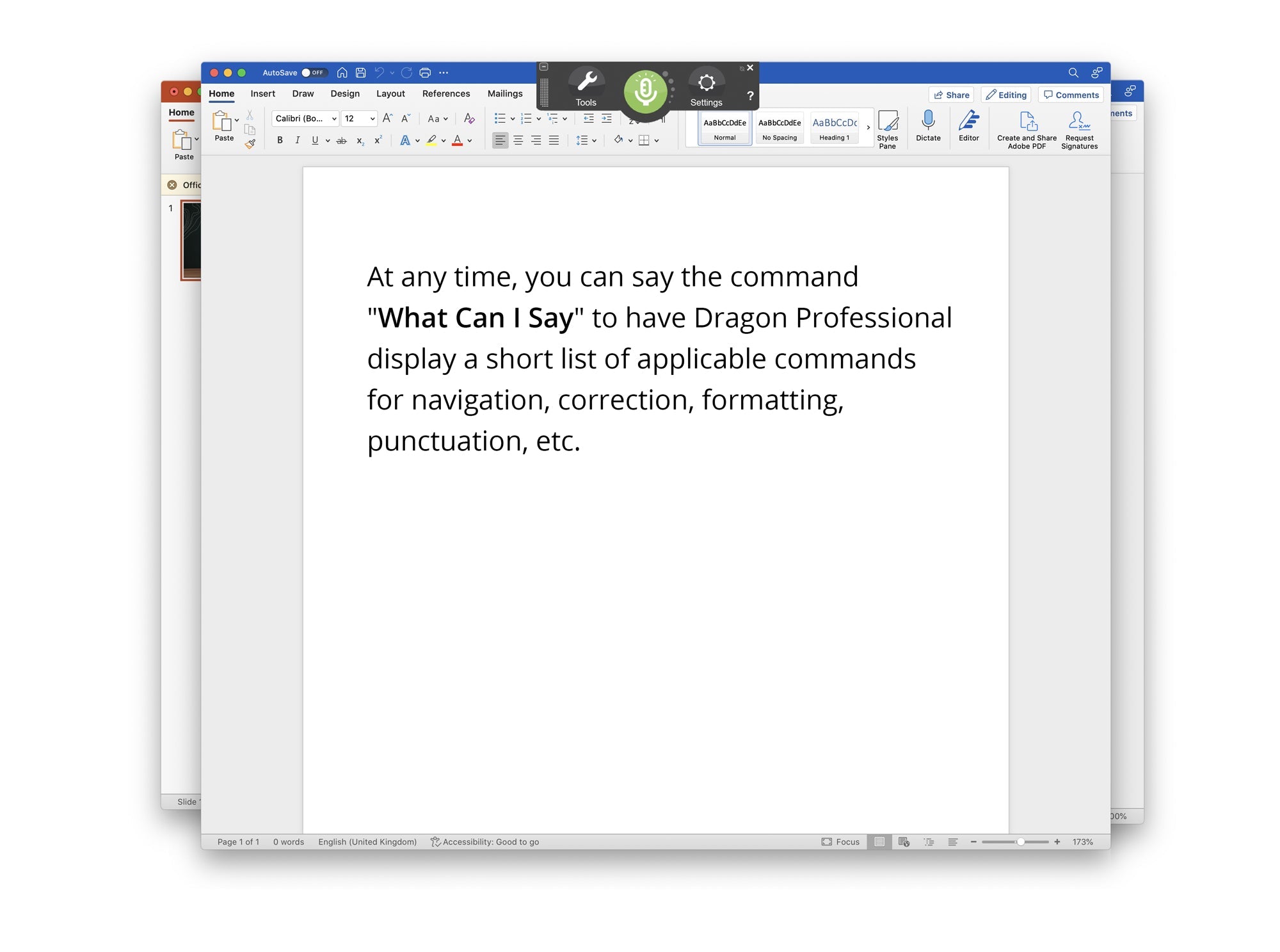 Dragon Professional 16