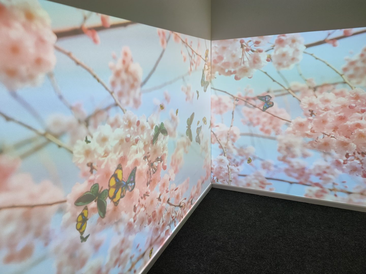 Reminiscence Immersive Room