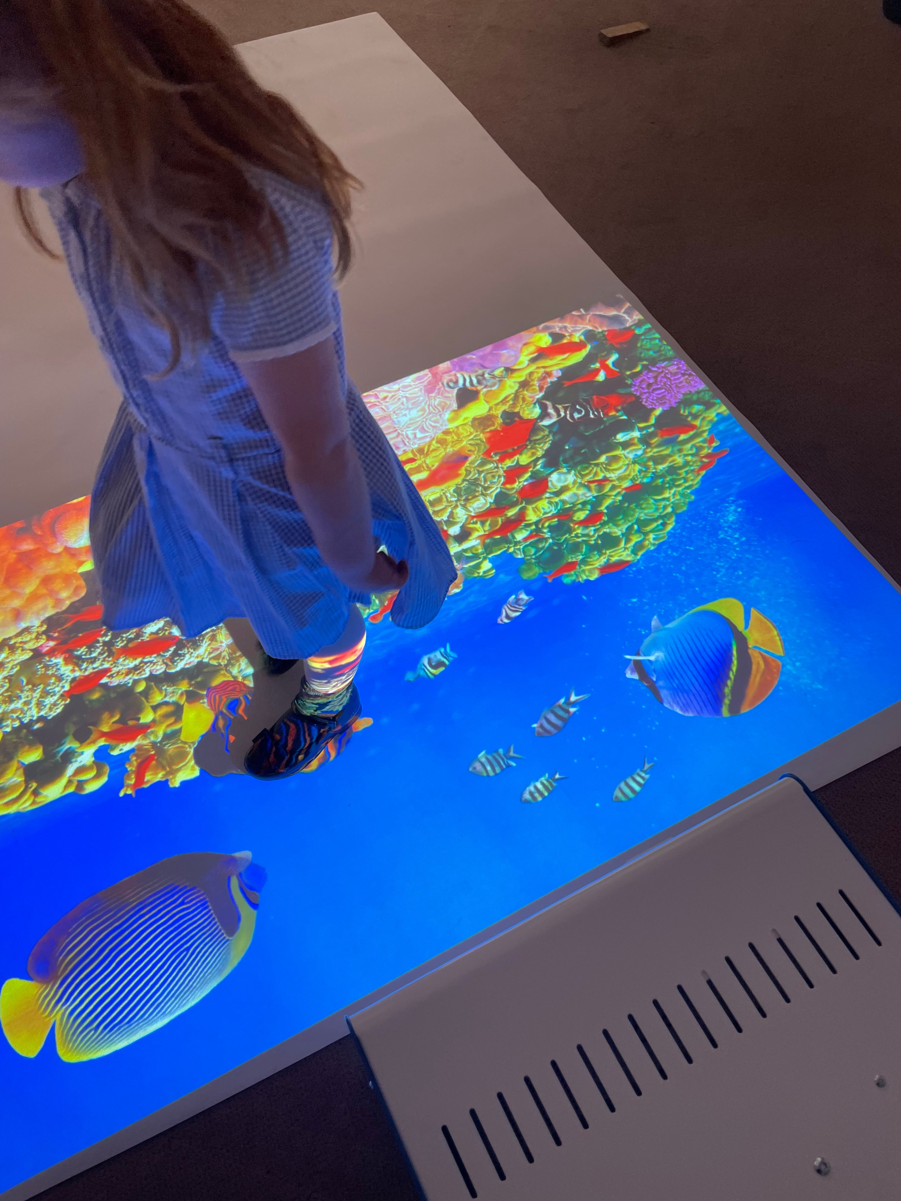 SENse Mini Portable Interactive System - 6