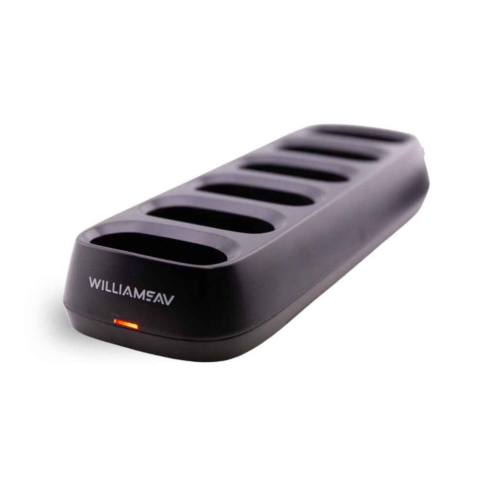 Williams Auracast - System with 4 Receivers