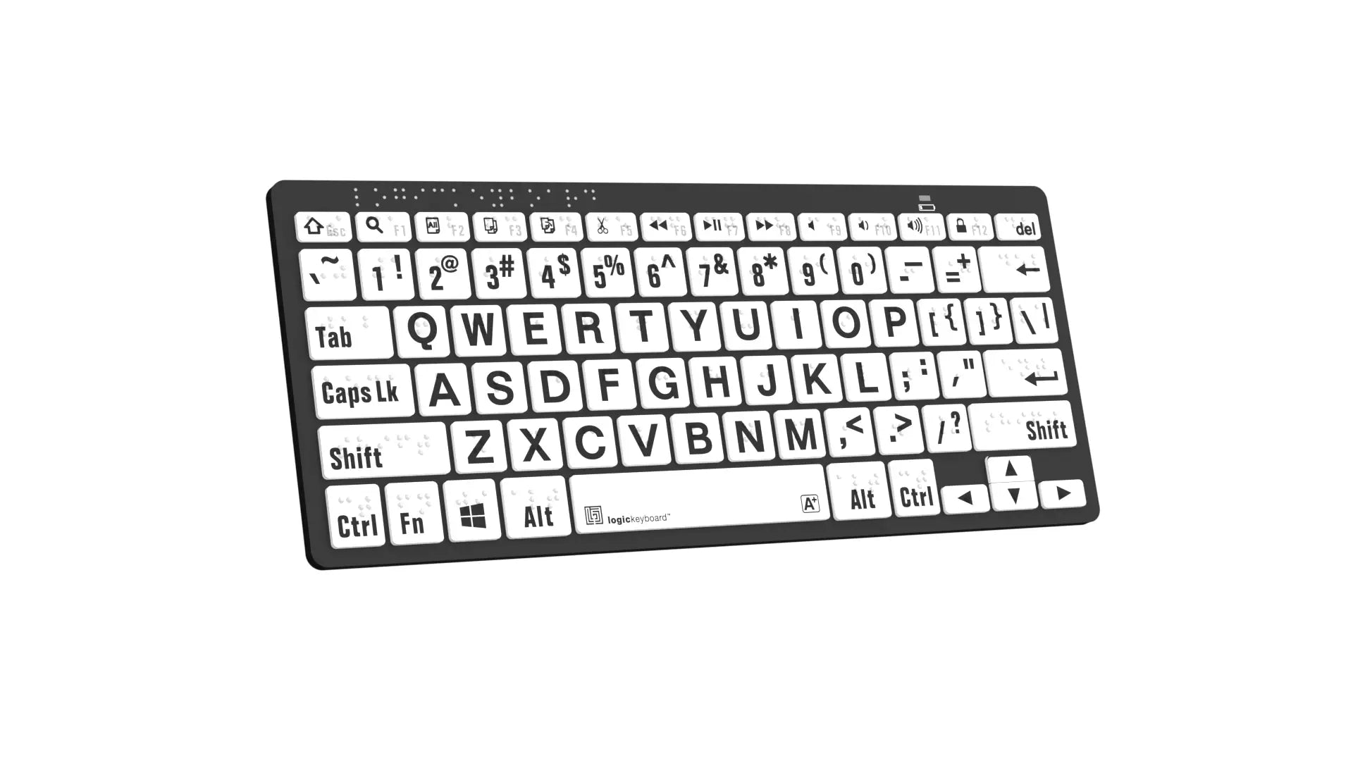 Braille/LargePrint Black on White PC US