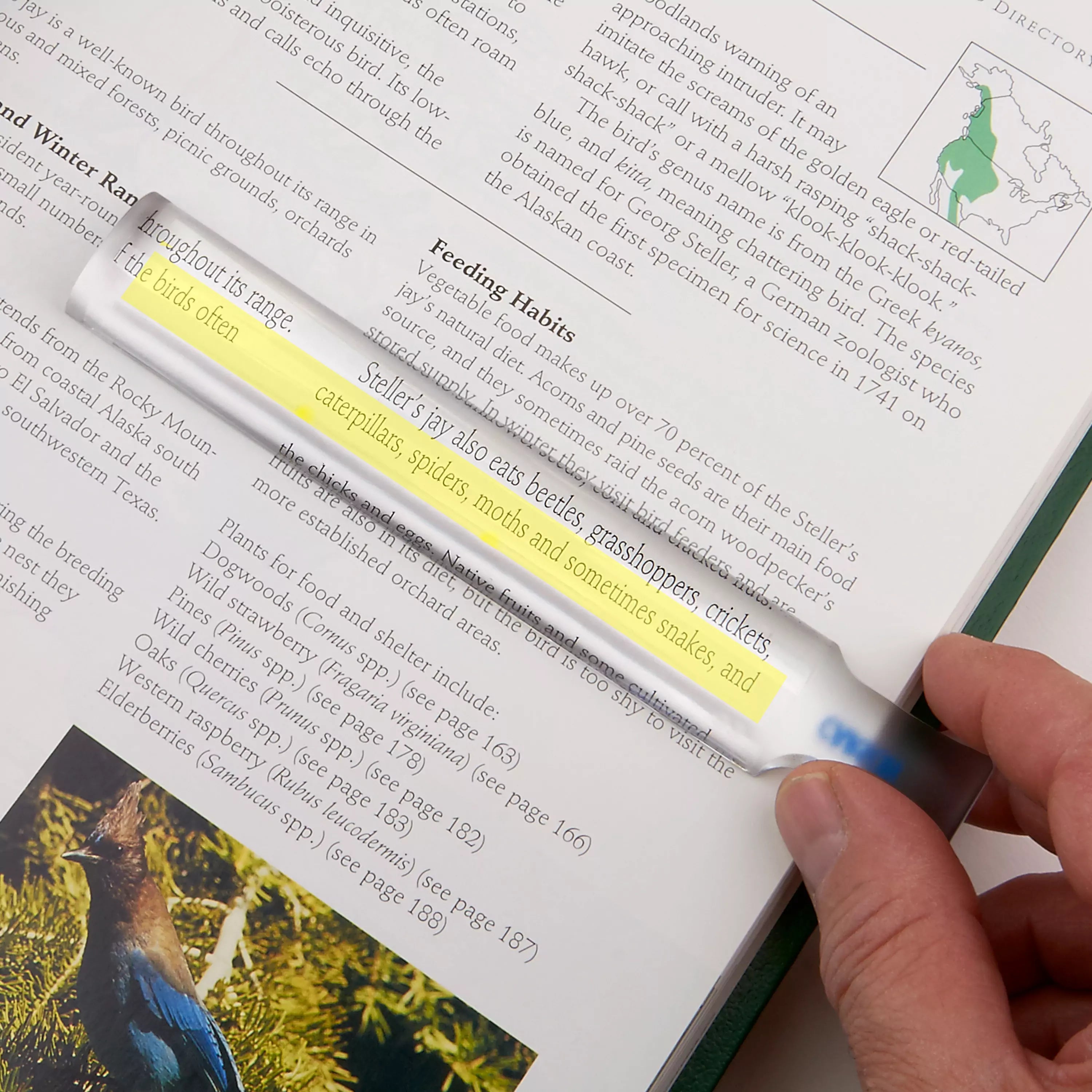 MagniRead 1.5x Bar Magnifier - 3