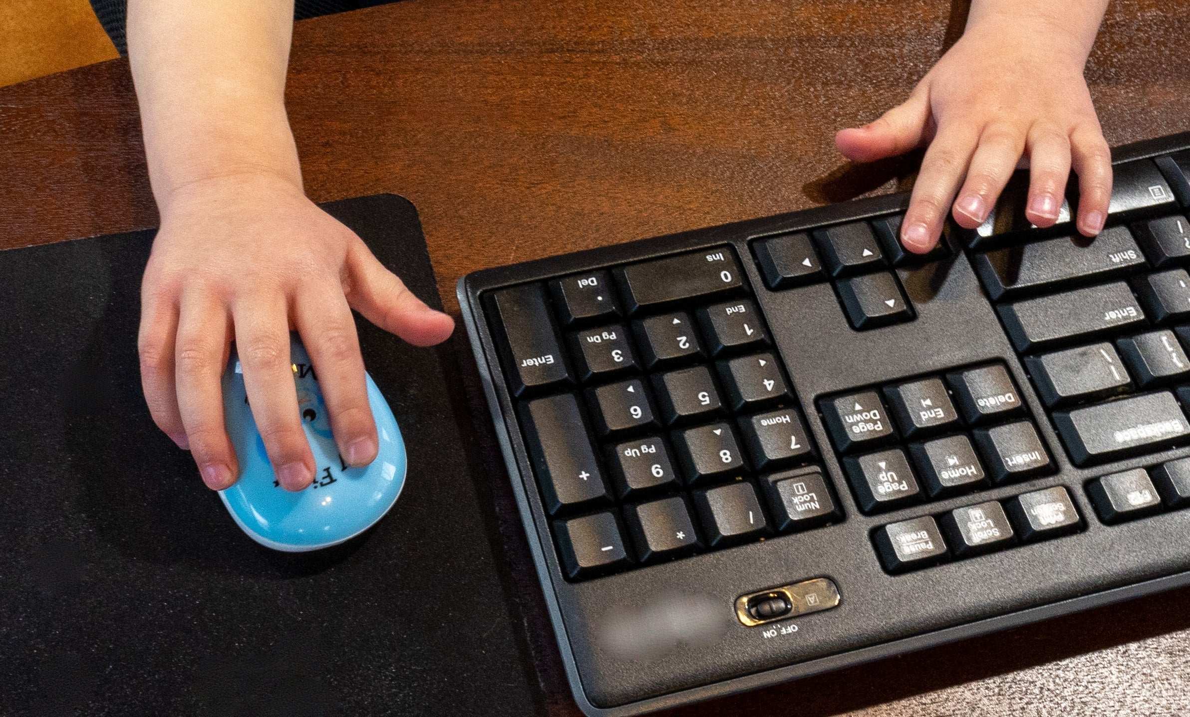 My First Mouse: One Button Special Needs Computer Solutions - 5