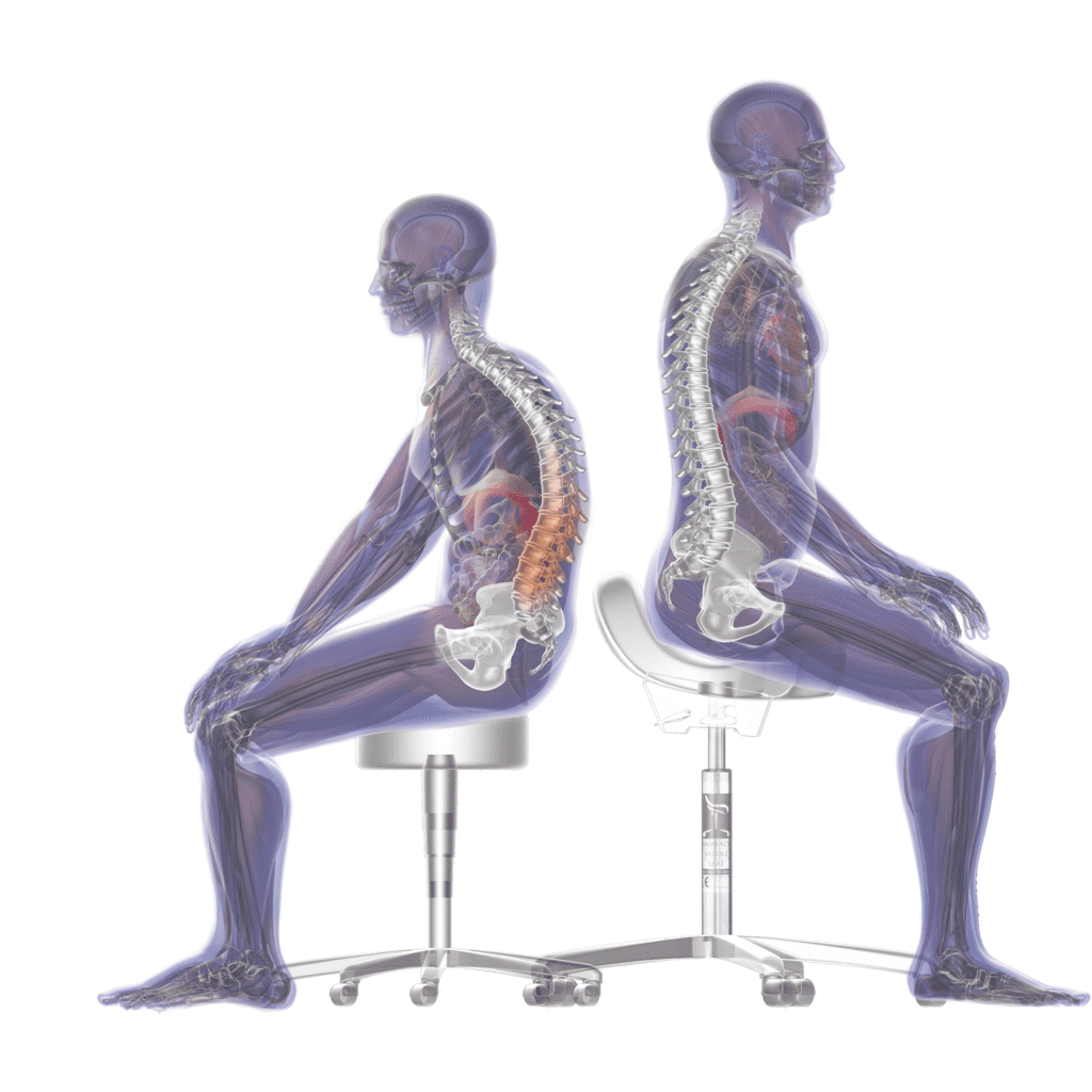 Bambach Saddle Seat – Classic with ErgoBack Bambach Saddle Chairs