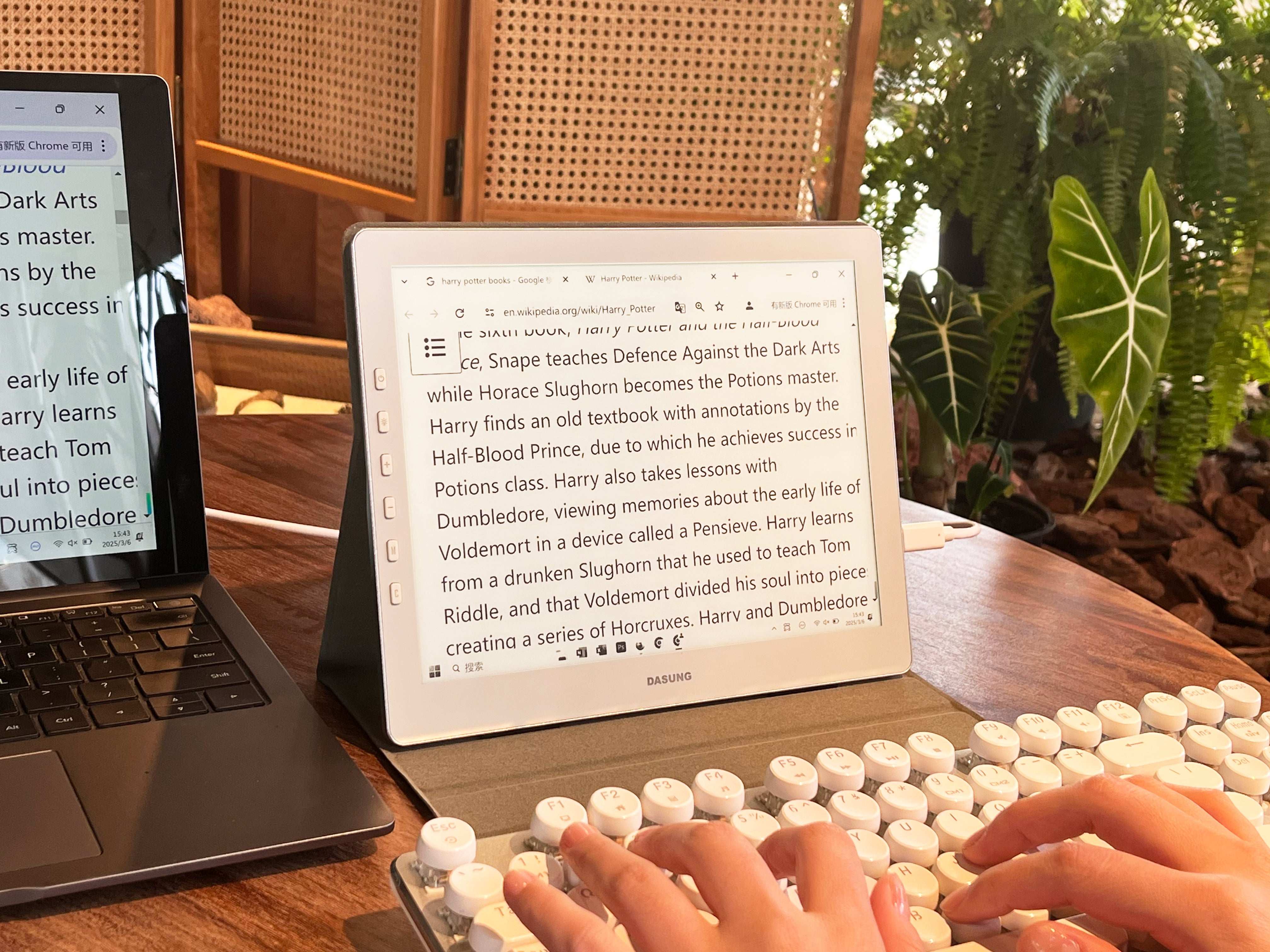 Dasung Paperlike 103 The World's First 60Hz E-ink Monitor Special Needs Computer Solutions - 5