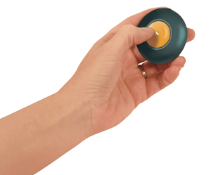 GoTalk Button