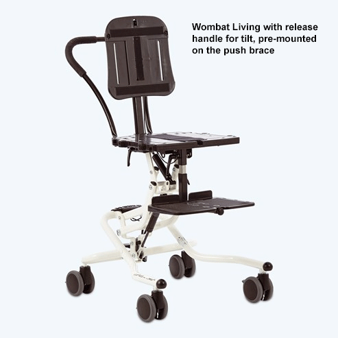 wombat living Special Needs Computers