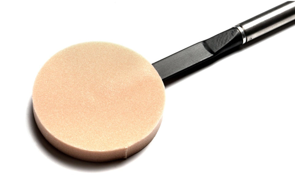 Leaf Switch Pretorian Technologies