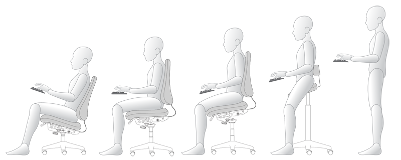 SpineSaver Five Reference Postures