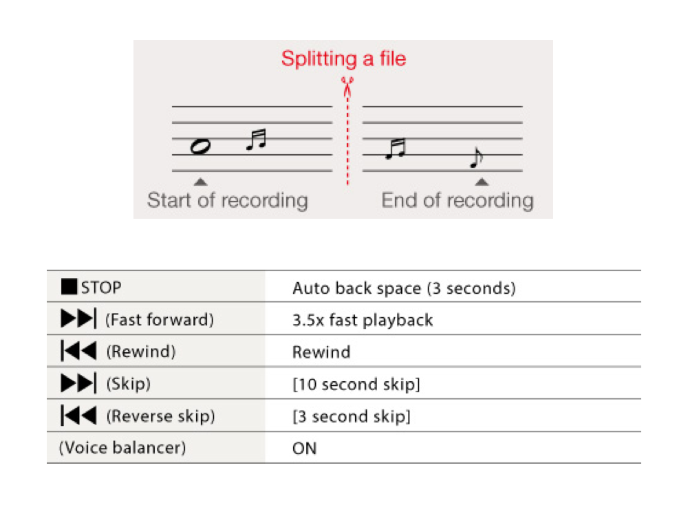 DM-720 Voice Recorder editing file