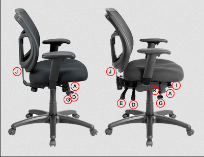 Racer Multifunction Ergonomic Chair