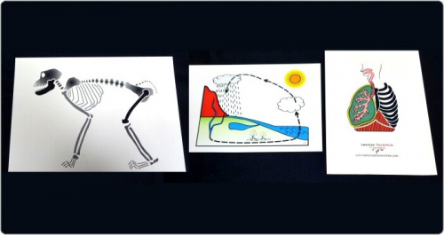 Swell Touch Paper - 2
