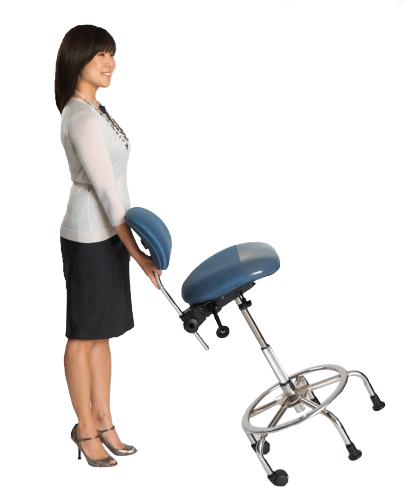 ErgoCentric 3-in-1 Sit Stand Ergonomic Office Chair