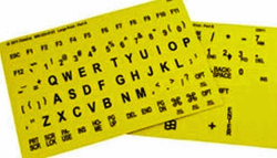 Large Letter Cell Phone Labels