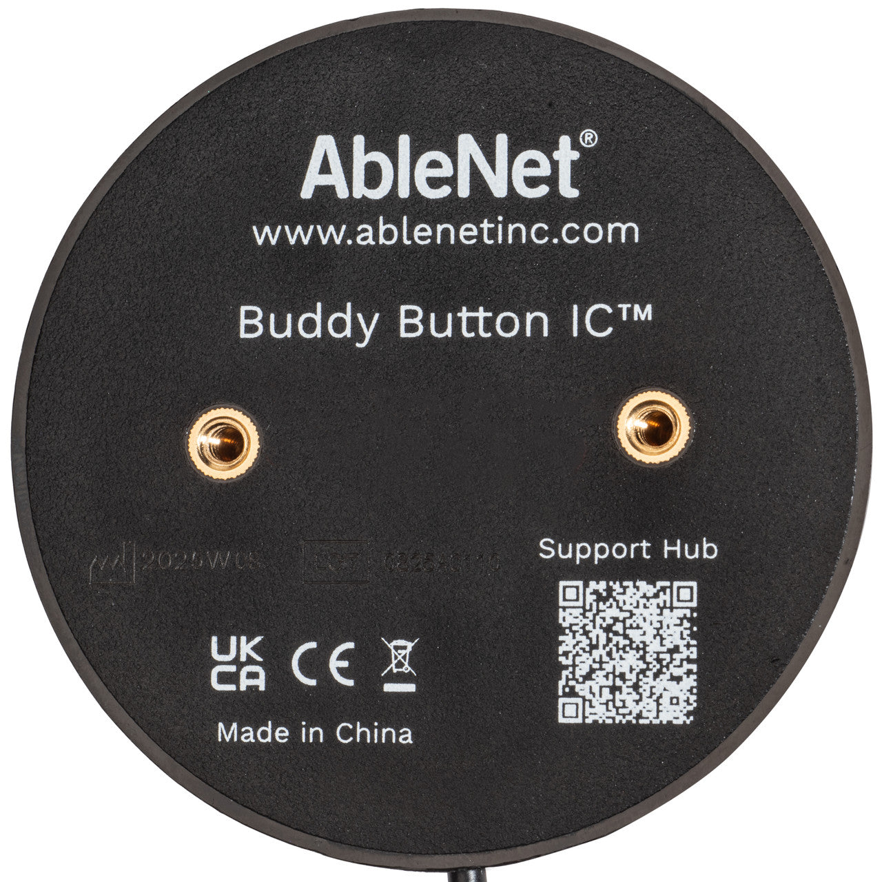 Buddy Button IC AAC Communication Switch Special Needs Computers - 2