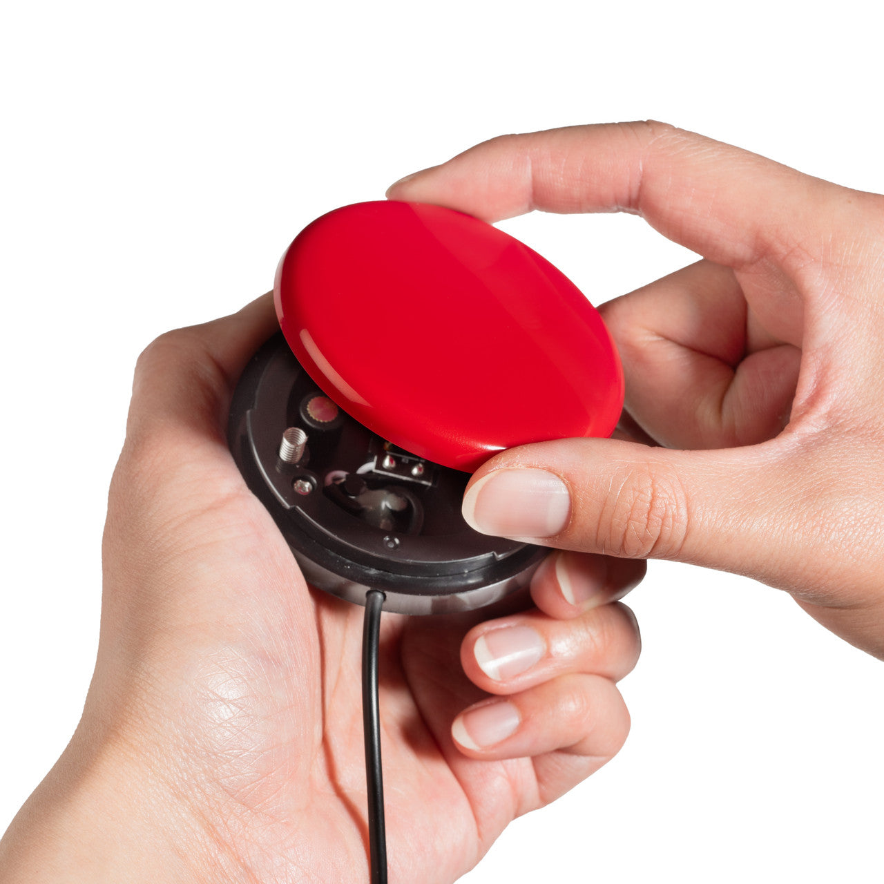 Buddy Button IC AAC Communication Switch Special Needs Computers - 5