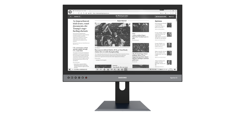 Dasung 25.3" E-ink Monitor Paperlike 253 Dark Knight Version - 2