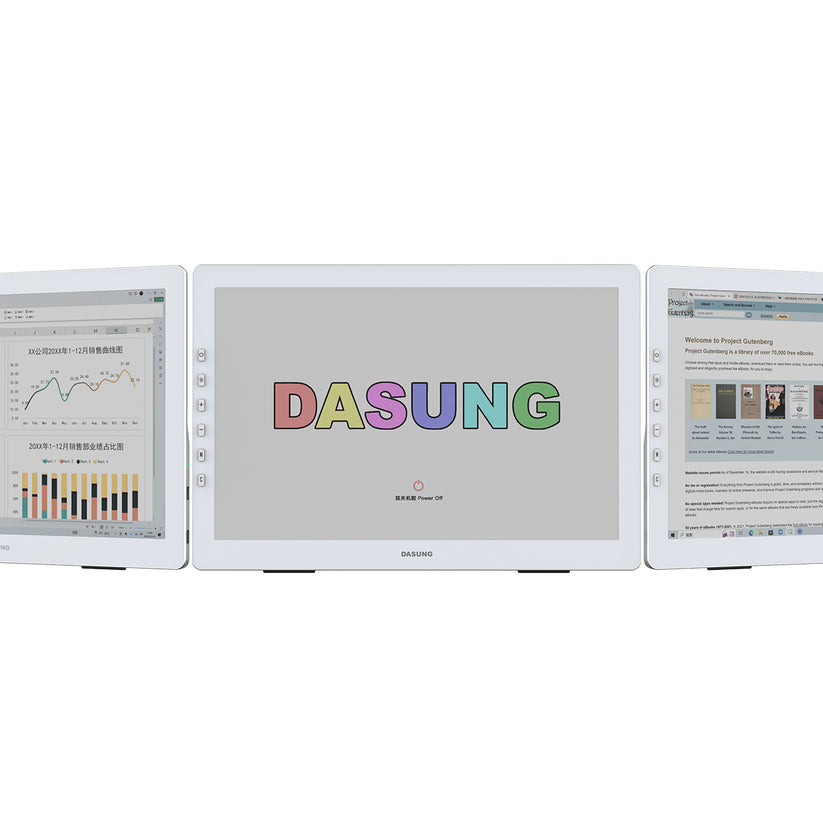 Dasung 12