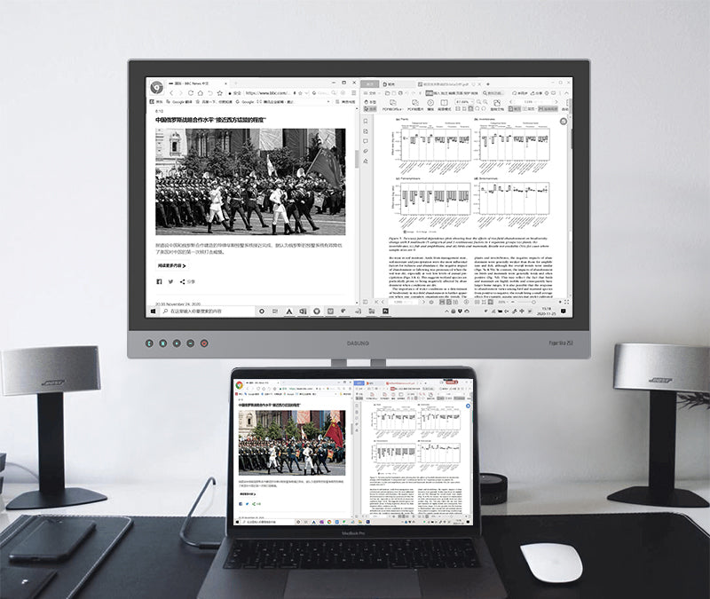 DASUNG Paperlike 253 (Revolutionary): World First Ultra-fast 50 Hz 25.3" Special Needs Computers - 3