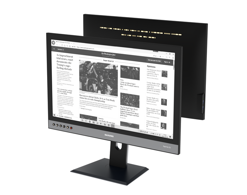 DASUNG 25.3" Silver E-ink Monitor: Paperlike 253