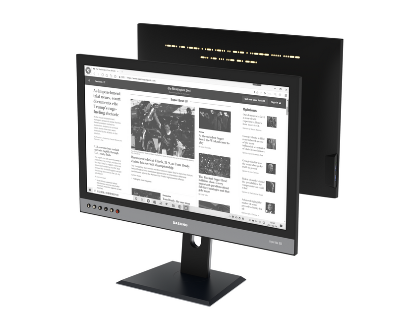 Dasung 25.3" E-ink Monitor Paperlike 253 Dark Knight Version - 1