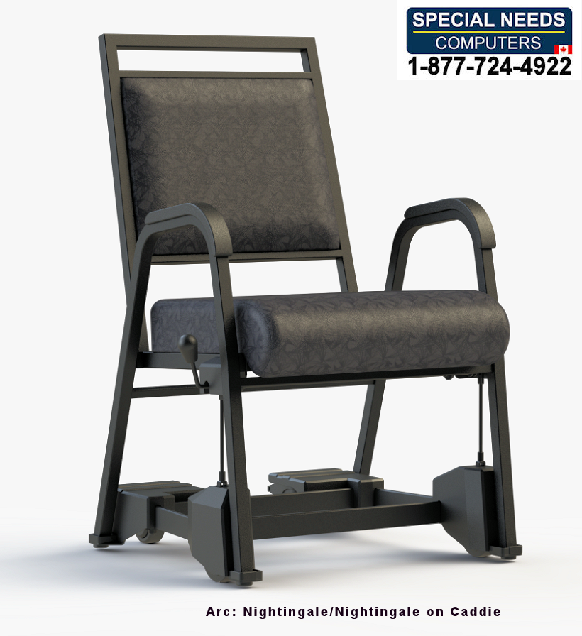 Nursing Home Armed Dining Chair T2-841-22-CC2