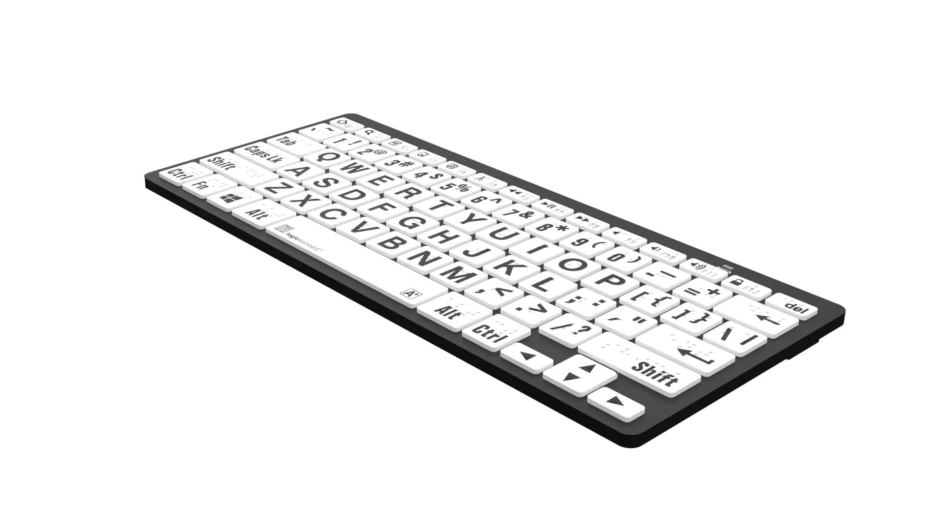 Braille/LargePrint Black on White PC US