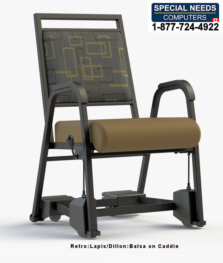 Nursing Home Armed Dining Chair T2-841-22-CC2