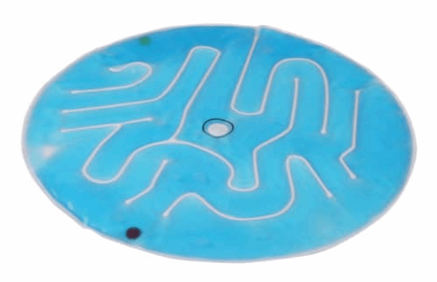 Enabling Gel Lap Maze