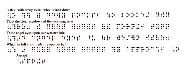 Duxbury DBT: Braille Translation Software