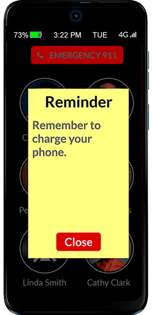 RAZ Memory Cell Phone Reminder