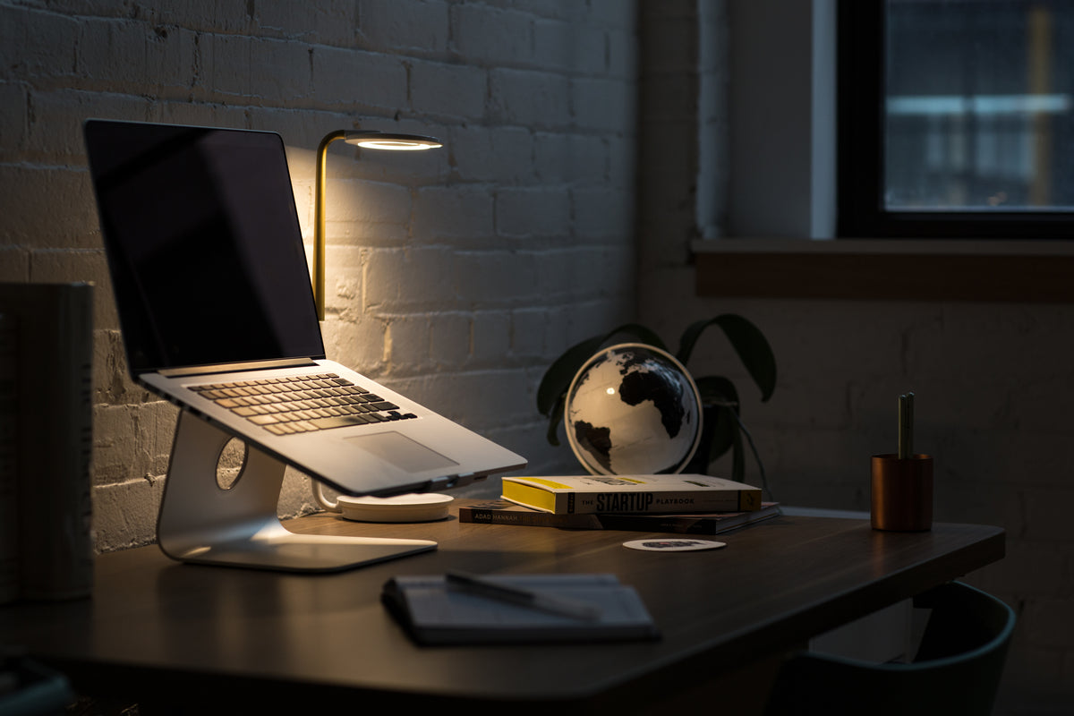 Special Needs Computers: Assistive Devices & Workplace Ergonomics